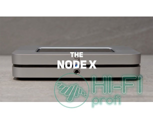 Сетевой плеер Bluesound Node X